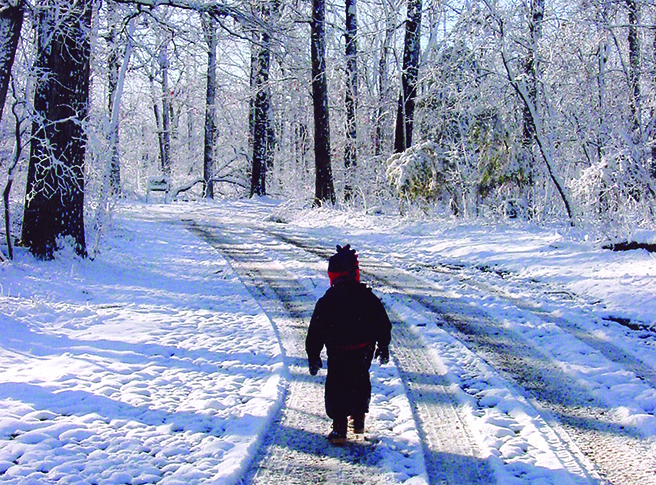 winter wunderlust by susan murphy