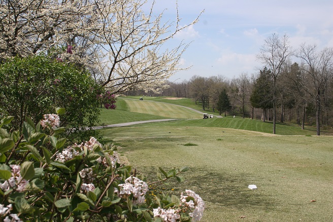 spring at the golf course